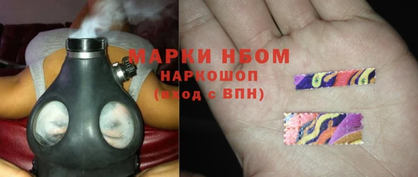 гашик Алексин