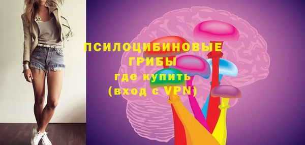 гашик Алексин