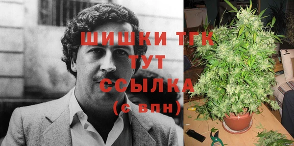 PSILOCYBIN Алексеевка