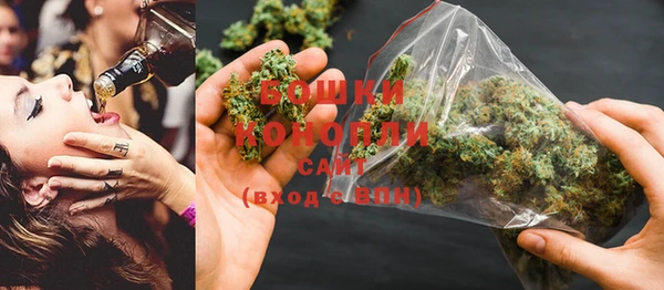 PSILOCYBIN Алексеевка