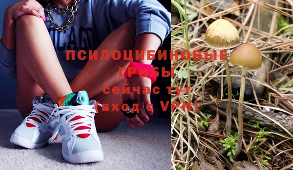 прущая мука Абдулино