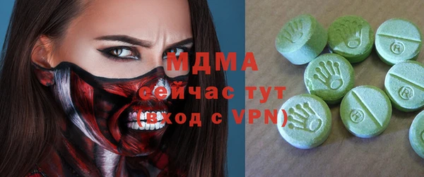 гашик Алексин