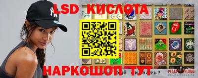 прущие грибы Можга