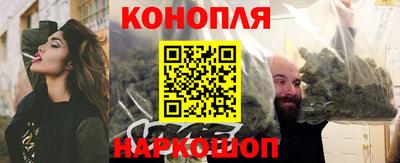 прущие грибы Можга
