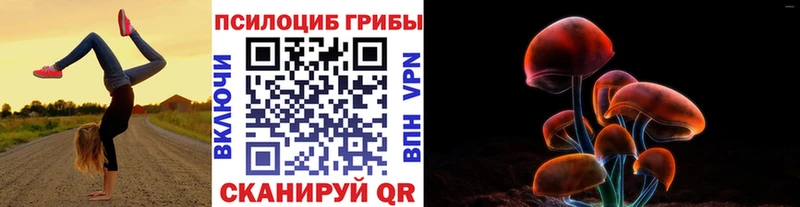кракен зеркало  Октябрьский  Галлюциногенные грибы GOLDEN TEACHER 