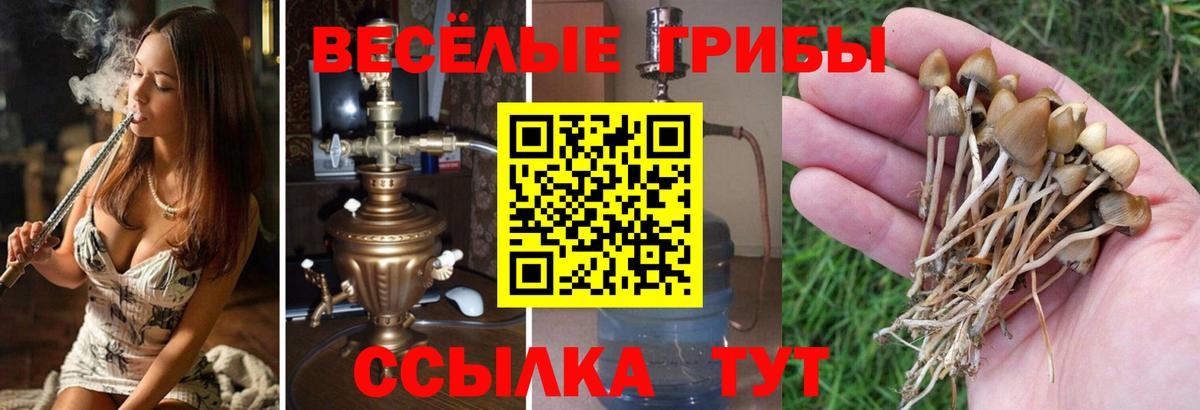 Галлюциногенные грибы Magic Shrooms Октябрьский