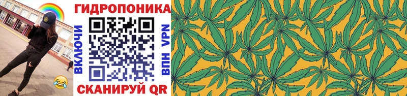 Конопля план  Октябрьский 